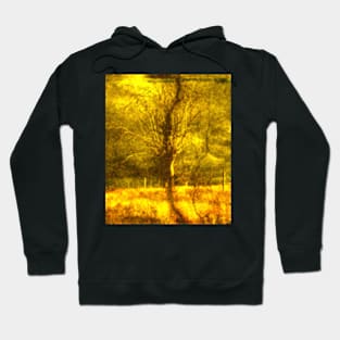 Digital collage, special processing. Tree, bright, fire. Hoodie